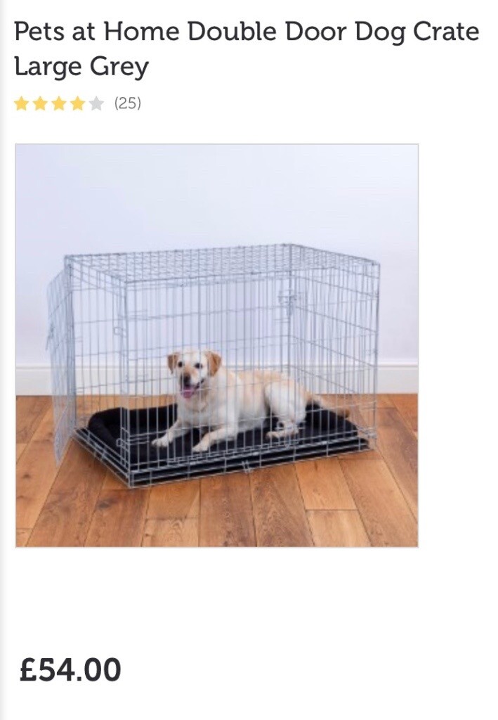 gumtree pet accessories